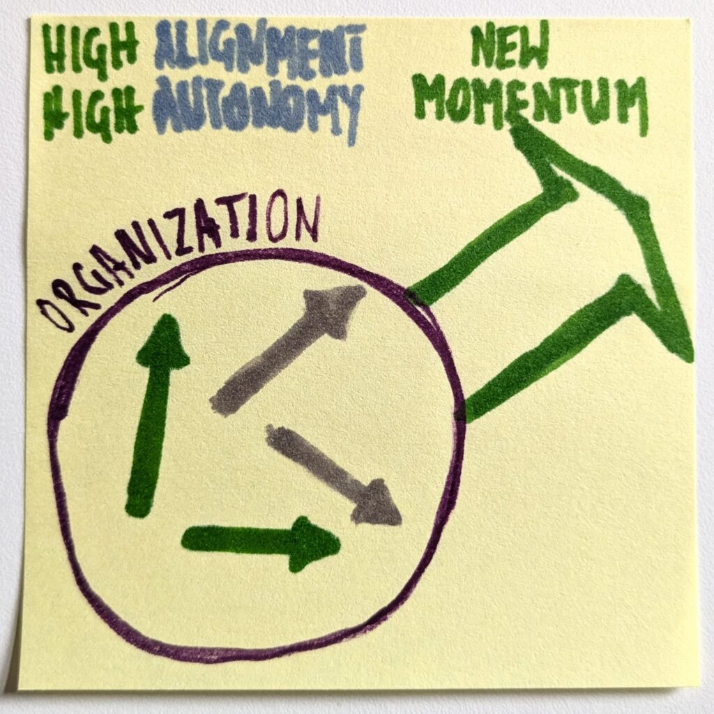 High autonomy and high alignment impact on organizational momentum